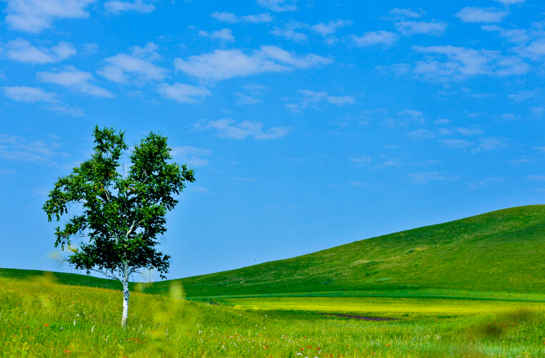 呼伦贝尔大草原风景-重庆旅行社www.ytszg.com