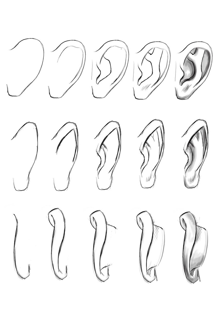 ear tutorial by ~masterss on deviantart https://www.facebook.