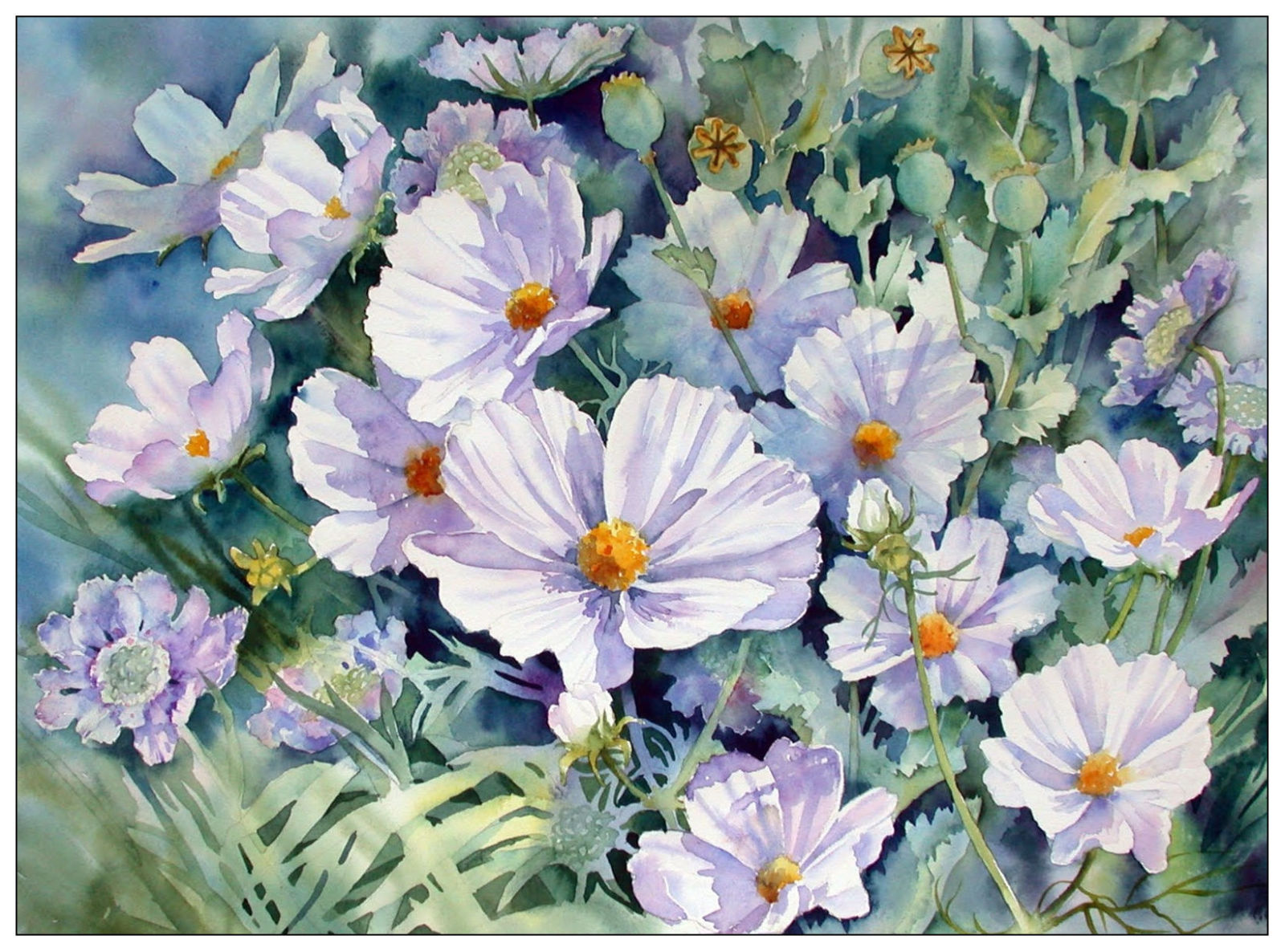 ann mortimer,英国水彩画家,擅长画花,植物等等,她还是一名老师,她