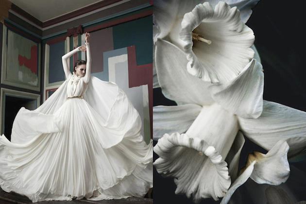 2012 年《时装 l"officiel 》杂志春装 vs 白色水仙 灵感来了,连树皮