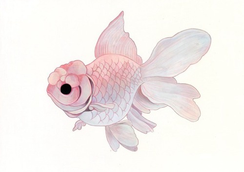 一直对小金鱼类的插画图片情有独钟,很喜欢…