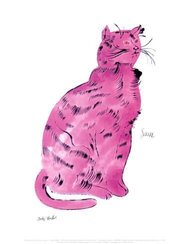 每一只猫都叫sam——by:andy warhol(安迪·沃霍尔)