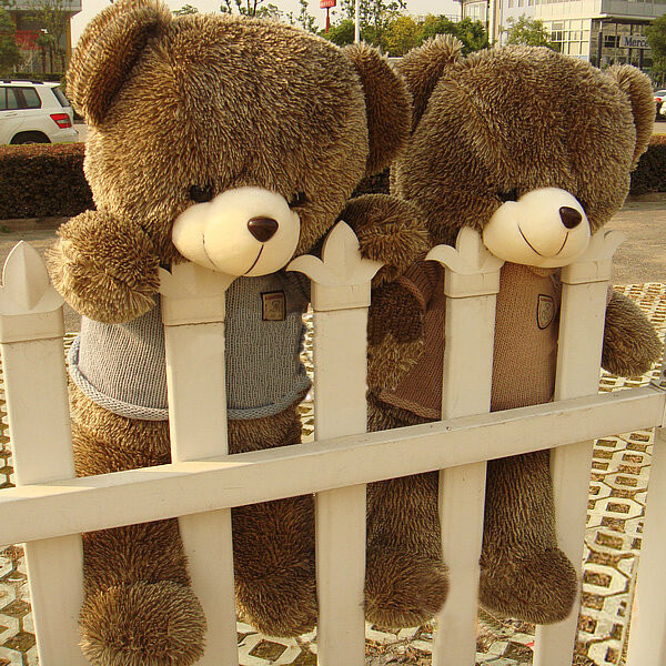 泰迪熊毛绒玩具熊 超大号可爱抱抱熊布娃娃公仔 玩偶生日礼物女生