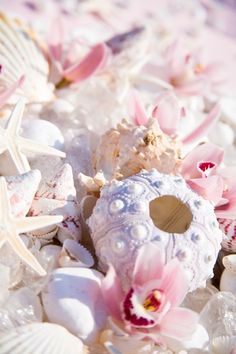 shell game on pinterest