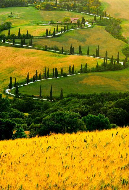 意大利托斯卡纳,田园风光.青山,绿野,树木,小路蜿蜒.