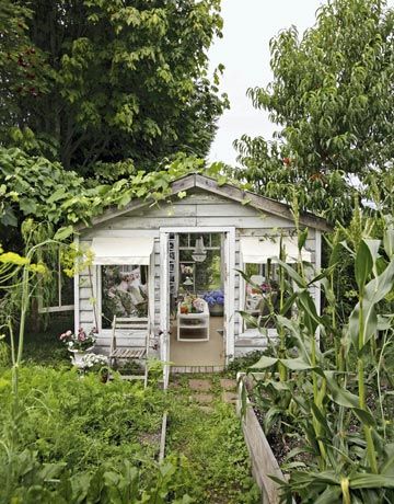 shabby chic greenhouse