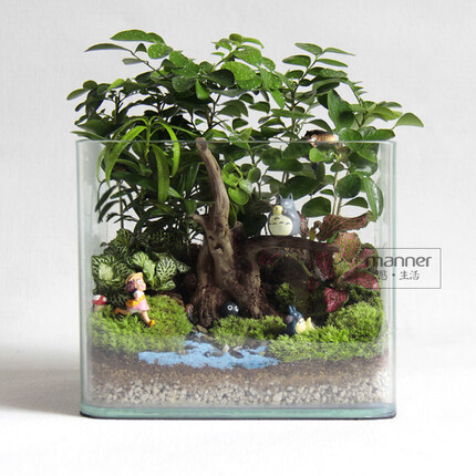 生态瓶 苔藓小品 苔藓微景观 宫崎骏龙猫系列—大树下
