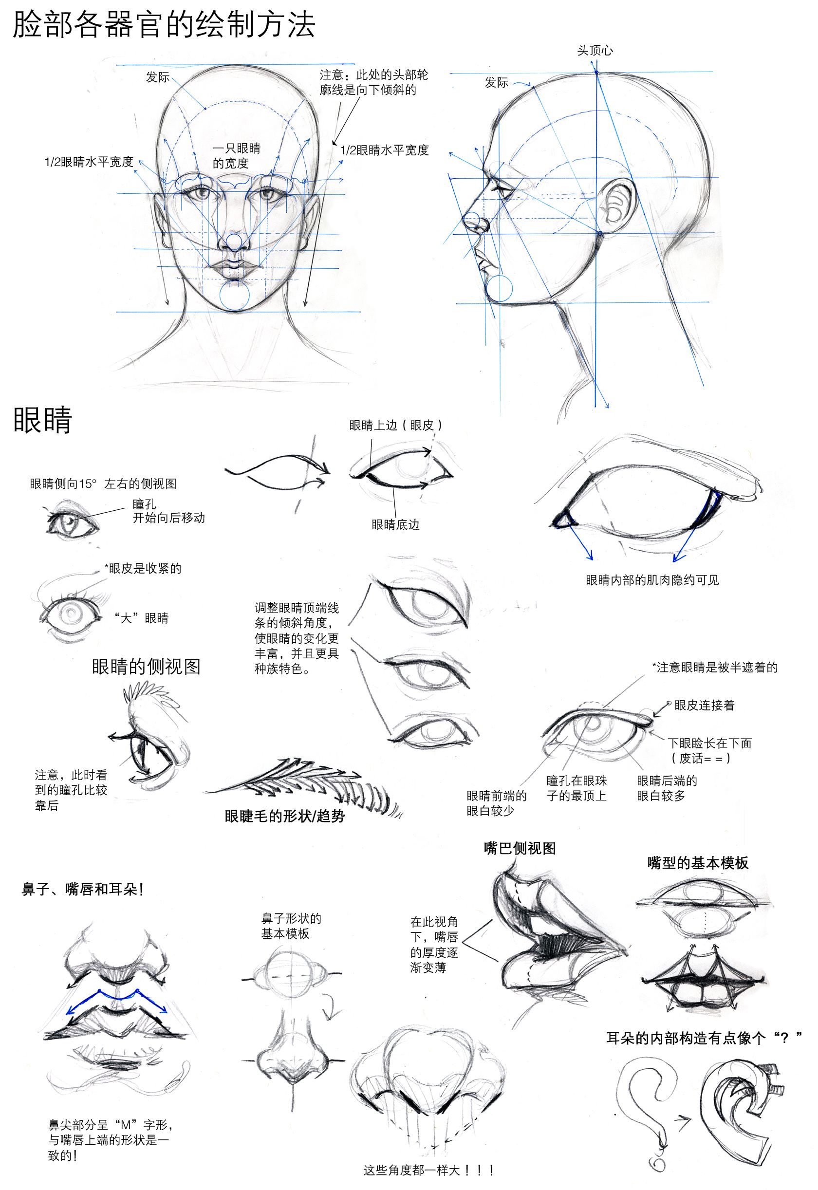 脸部绘制方法