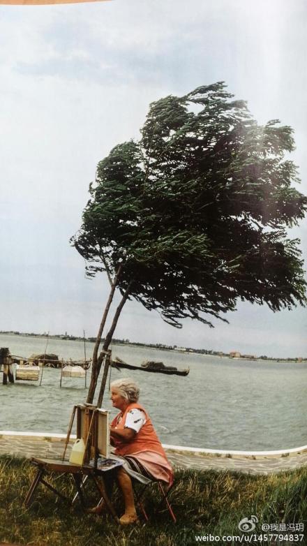这位在澙湖边从容作画的威尼斯老太太在某种…