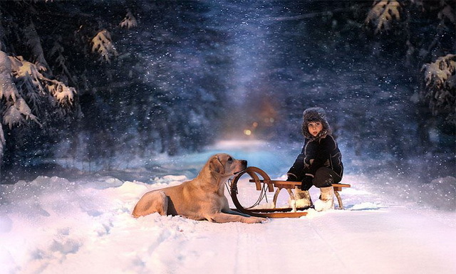 女摄影师elena shumilova记录下两个儿子和农场里小动物相处的有爱