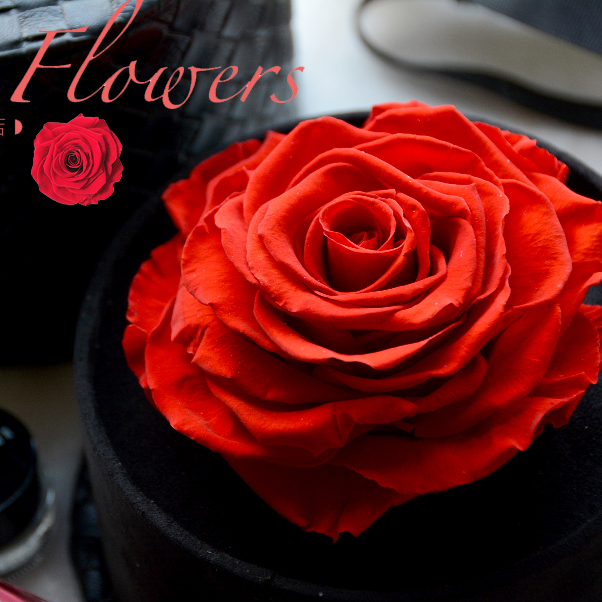厄瓜多尔进口巨型永生玫瑰,直径足10cm,皮质蔷薇花礼盒包装