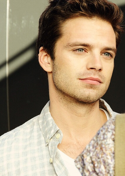 塞巴斯蒂安·斯坦 sebastian stan 图片