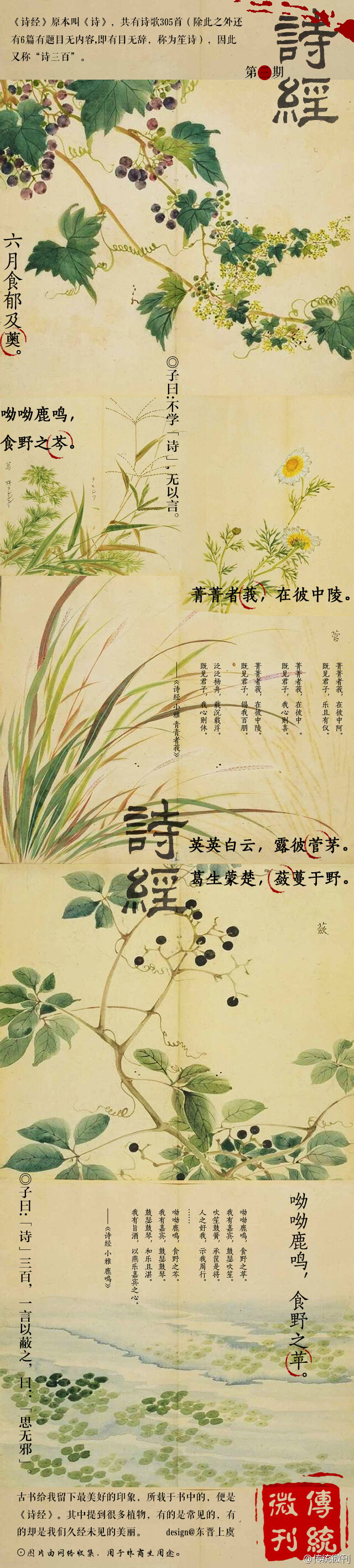 曰:思无邪 | 诗经 中国 传统 手绘 植物 绘画 国画