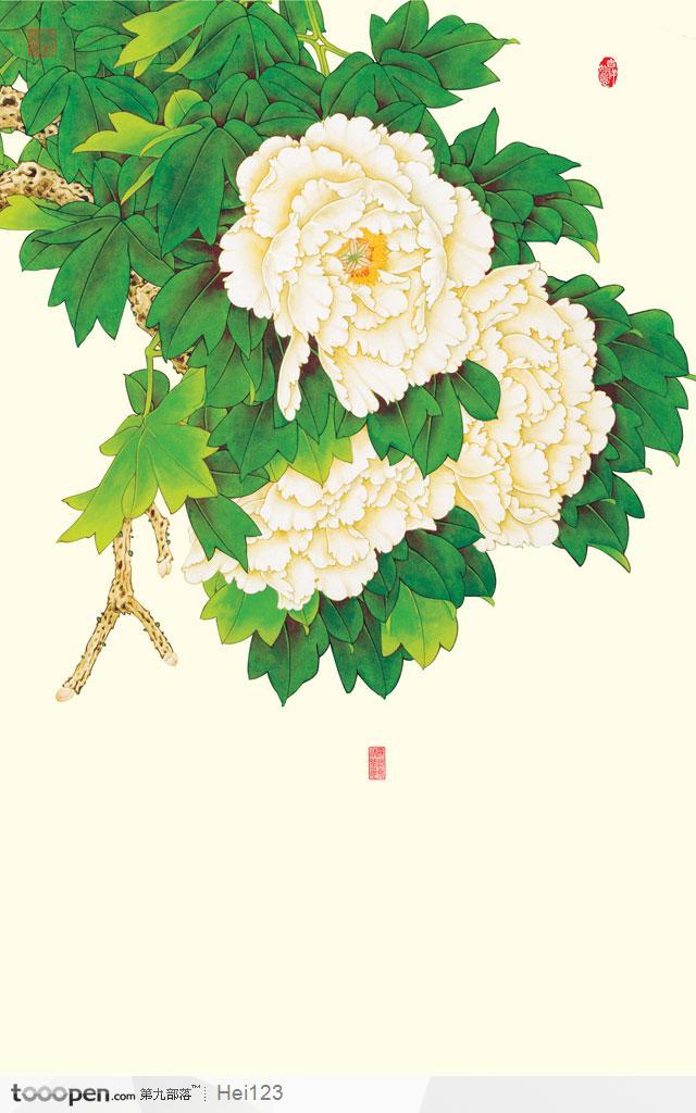中国工笔花鸟画-富贵牡丹花