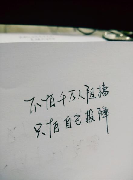 熊宝练字时间#不怕千万人阻挡,只怕自己投降