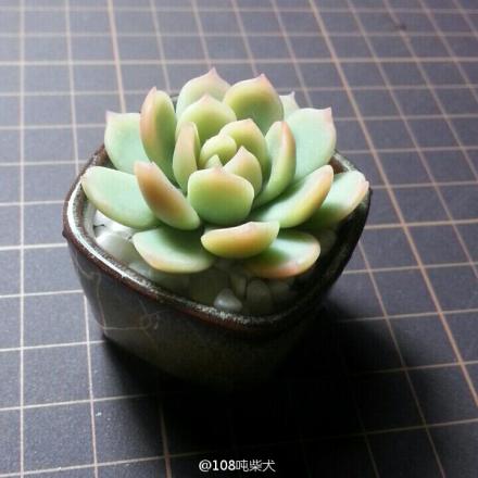 拿到@晓兰una 的大大大礼包啦!人肉快递大…