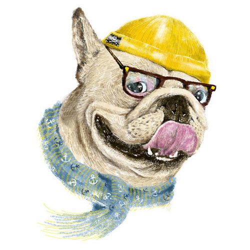 来自插画师dogooder的动物插画作品赏析,你会和小编编一样喜欢这些