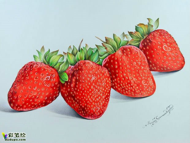 彩铅画 草莓
