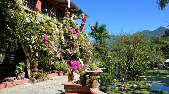 瓦拉塔植物花园(墨西哥) 距离巴亚尔塔港…-堆