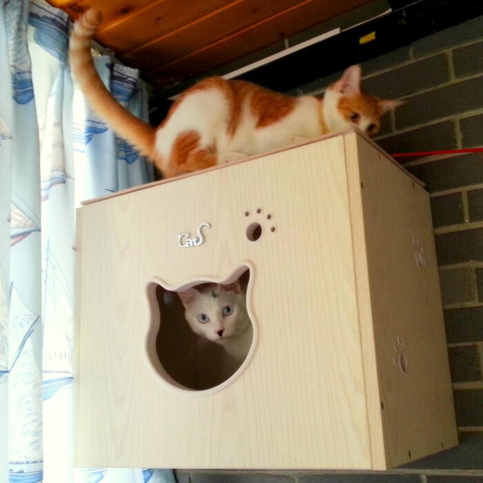 CatSF2 墙上猫盒子! CatS时尚猫咪家具
