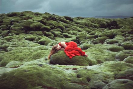 你,且美且独立 | 图:加拿大摄影师 elizabeth gadd