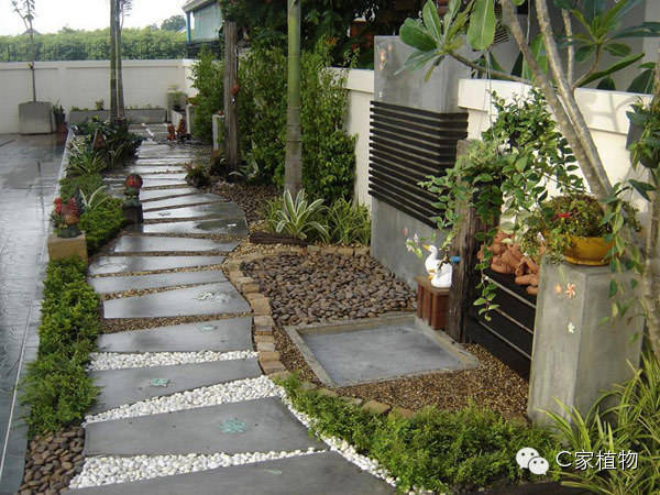35个幽静的庭院小路设计(c家植物微信号:cjiazhiwu)