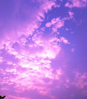 purple sky(我们都是紫色控@紫色潮流控,http://lilacko.lofter.