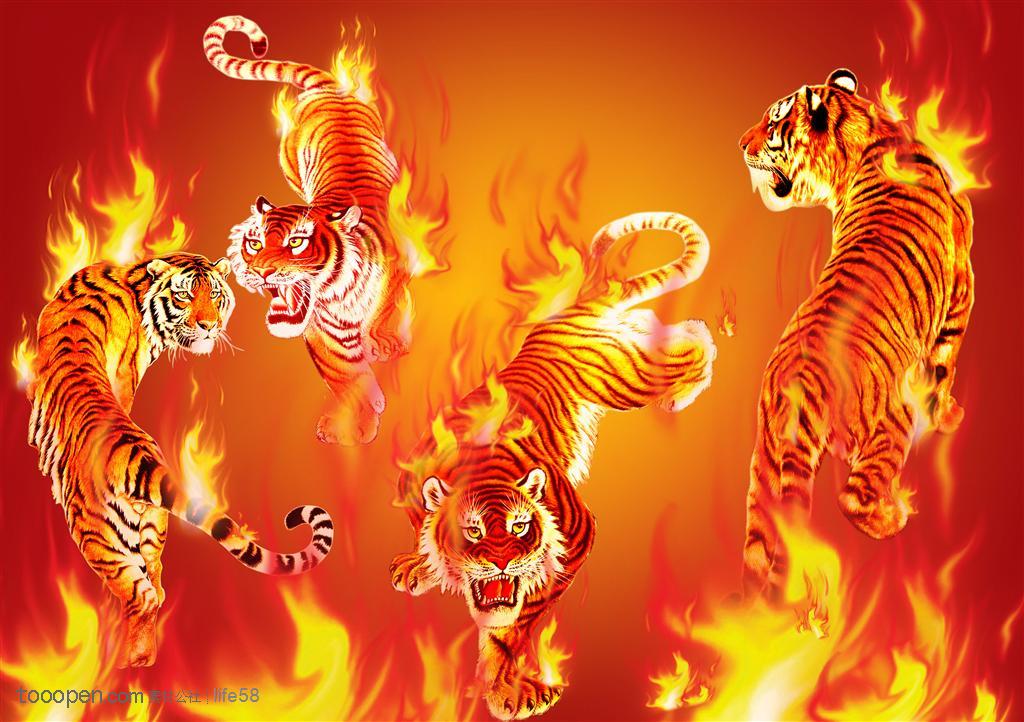 火焰中的老虎过新年春节psd素材