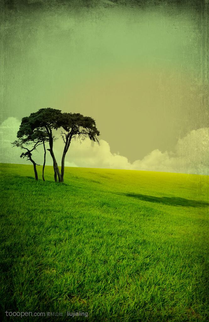 风景画-草原上的一棵树