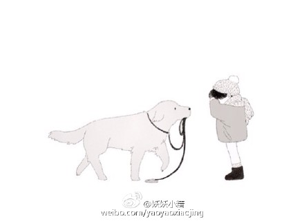 韩国网友分享的小日常:在路上看到一个小…-堆