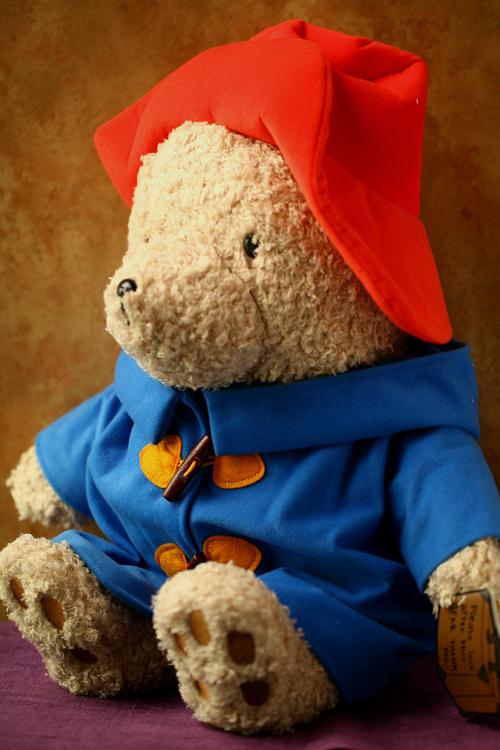 英国paddington bear帕丁顿熊电影泰迪熊毛绒公仔玩具圣诞节礼物