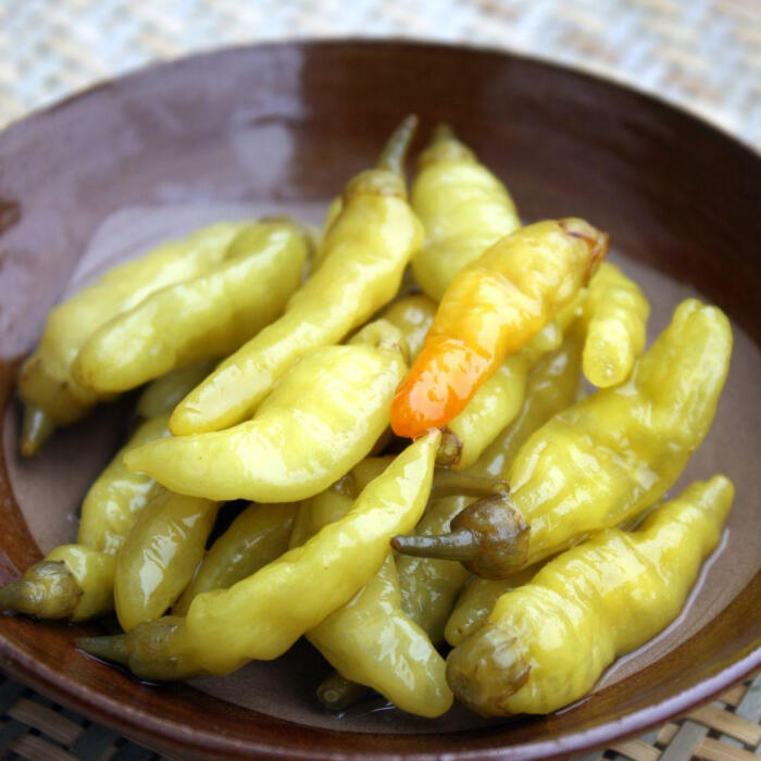 制泡凤爪必备老坛野山椒泡辣椒正宗四川泡菜咸