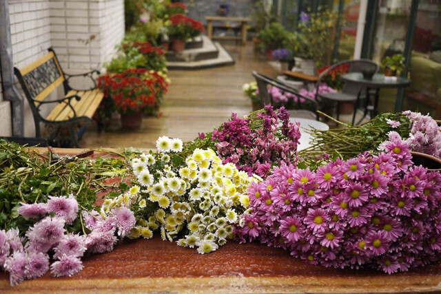 南京时光国际青年旅社