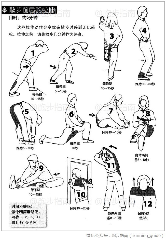 【散步前后的拉伸】这些拉伸动作会令你在散步时感到无比轻松.