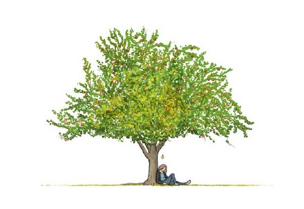 「一棵树的一年」创意台历本,52周每周一个故事.