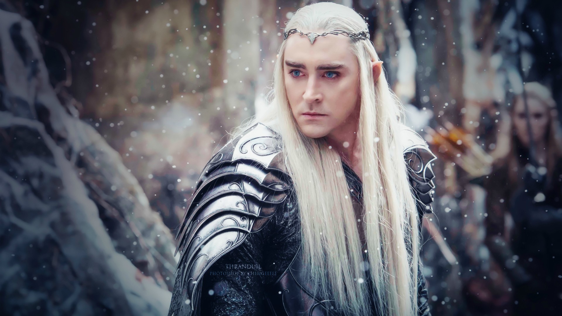 【thranduil】#hobbit# 我现在自己用着的瑟兰迪尔桌面,ps调过色,1920