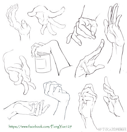 绘画教程# #参考# 手部的多角度参考!握拳…-堆糖