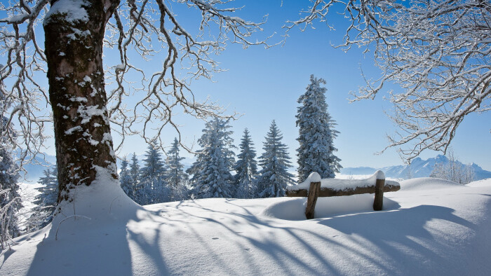 今日小编又来为大家送上一组冬季清新唯美雪景桌面壁纸,希700_394