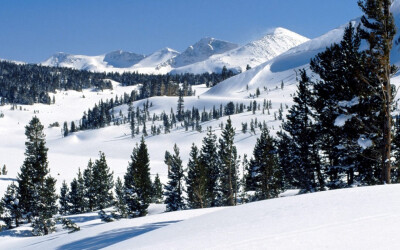 看到这场美丽的雪景,小编我也是醉了400_250