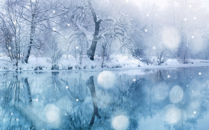 雪是冬天的使者,洁白的象征,它以自己独有的身姿装点着大地.