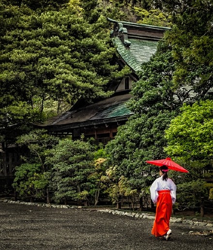 日本神社的巫女,红裙子白大褂,她们的笑容总会给人一种温暖.