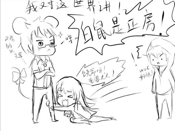 狮子【跪】:我对这世界讲!白鼠是正房啊!