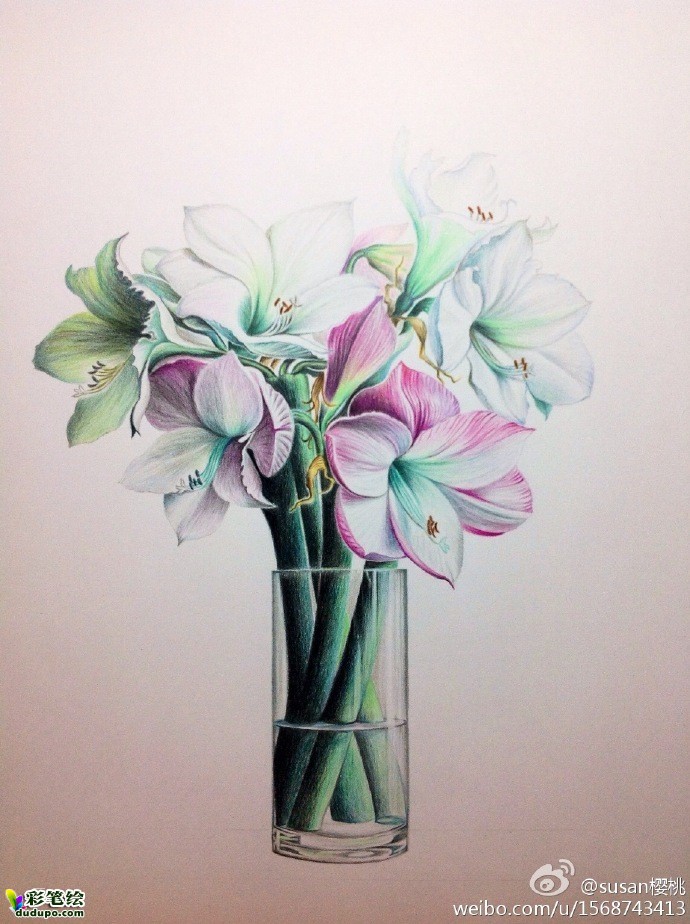 彩铅画 花卉-瓶花步骤7-堆糖,美好生活研究所