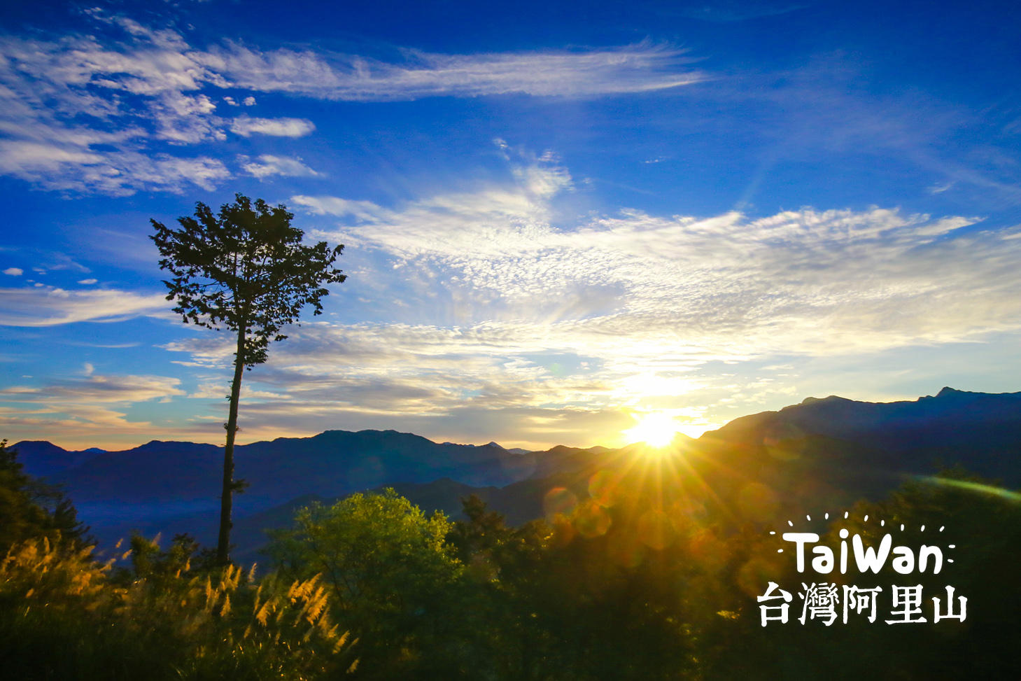 【旅行游记 台湾·阿里山