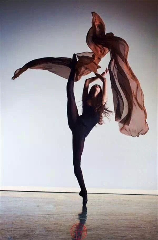 最美的姿势:舞蹈展现人体曲线力量与美_组.
