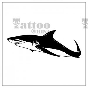 鲨鱼纹身图案——北京最有名的纹身店东方印记收集整理.