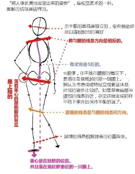 教大家怎么用图把人体姿势优美的展现出来,了解人体的结构与重心位置!