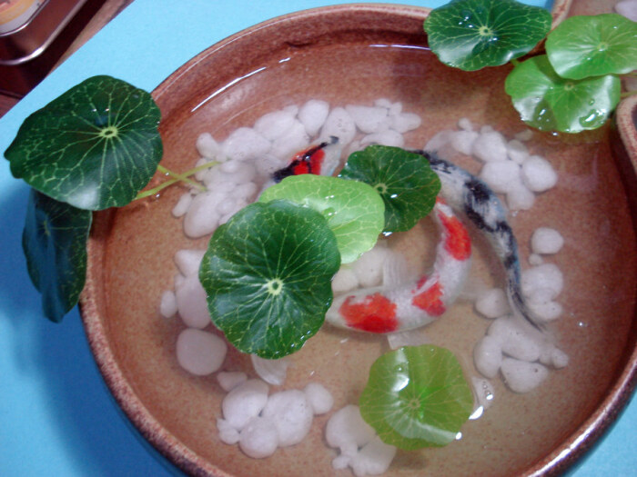 树脂画是日本艺术家深堀隆介发明的立体绘画…