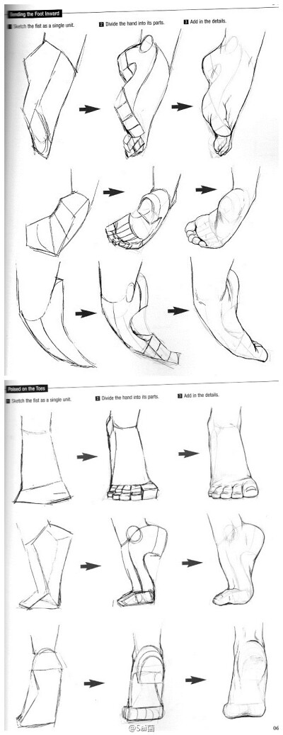 非常非常详细的脚部绘制参考,注意掌握脚趾间的角度关系把控,收藏学习