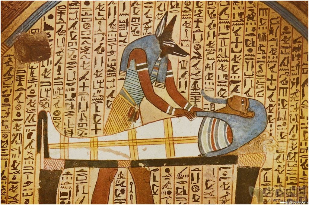 阿努比斯,是埃及神话中的亡灵的引导者和守…-堆糖